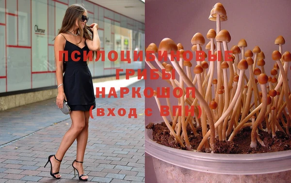 мет Вяземский