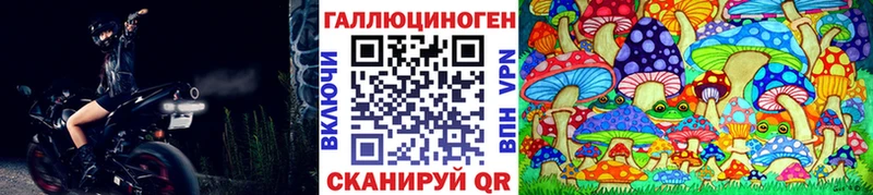 Псилоцибиновые грибы Cubensis  Купить  Сорск 